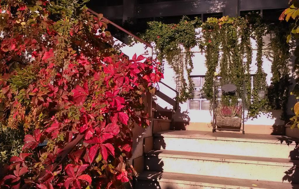 Hotel Ristorante Sole Muggia Luaran gambar